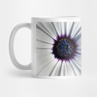 Closeup of white African daisy Mug